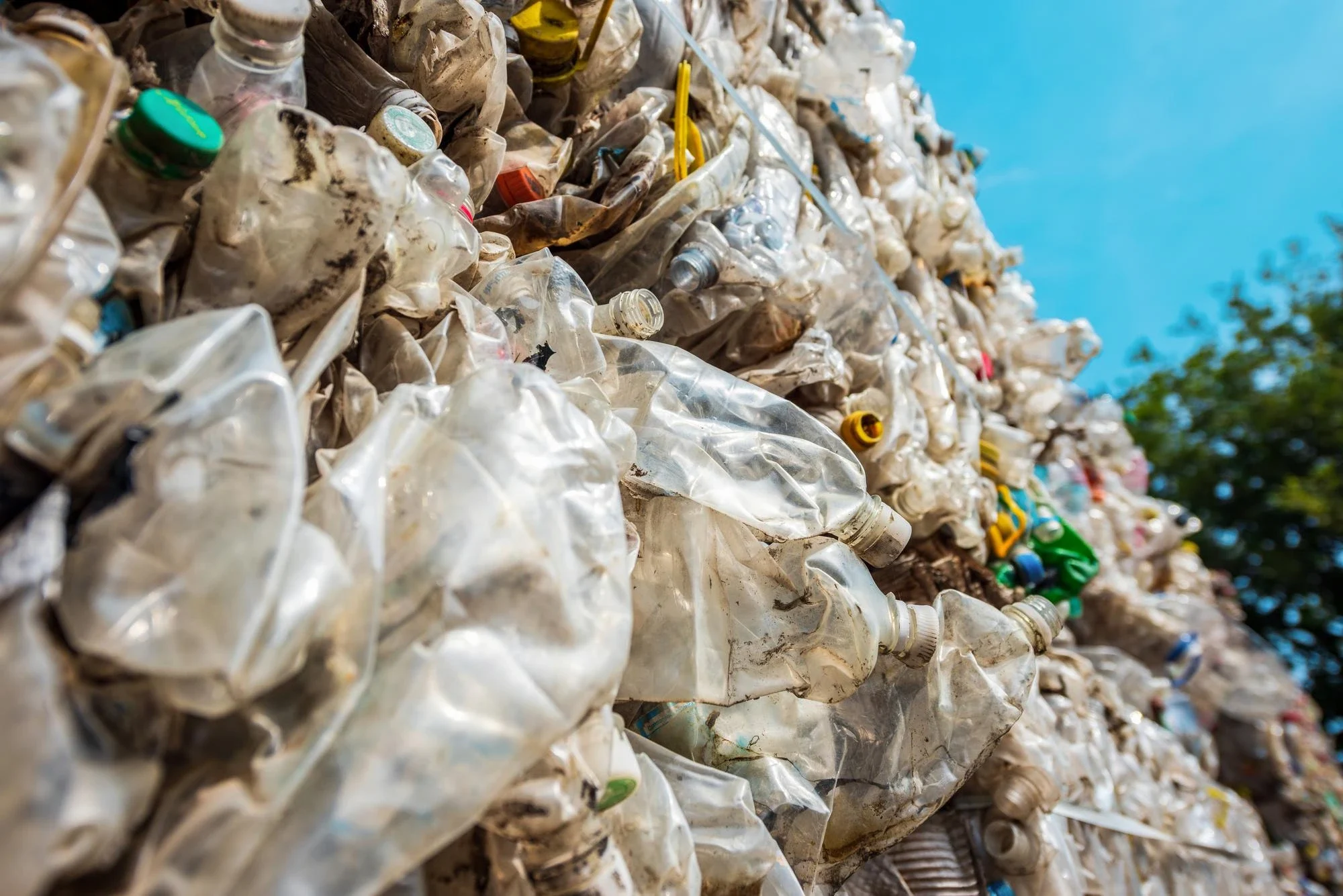 Recycling Services Explained: Benefits, Pricing, and How It Works